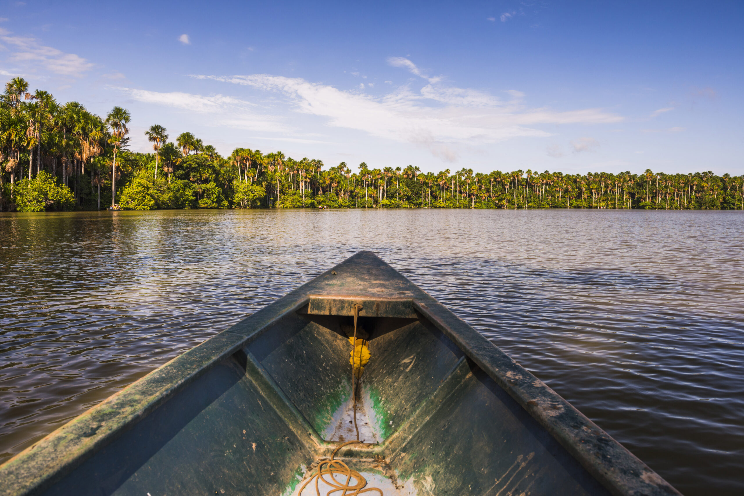 Fundo Amazônia é retomado e já acumula R$ 5,4 bilhões