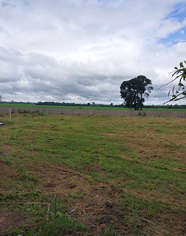 Ibama multa em R$ 1 milhão fazendeiro que provocou intoxicação de alunos de escola pública no PA com pulverização de agrotóxicos